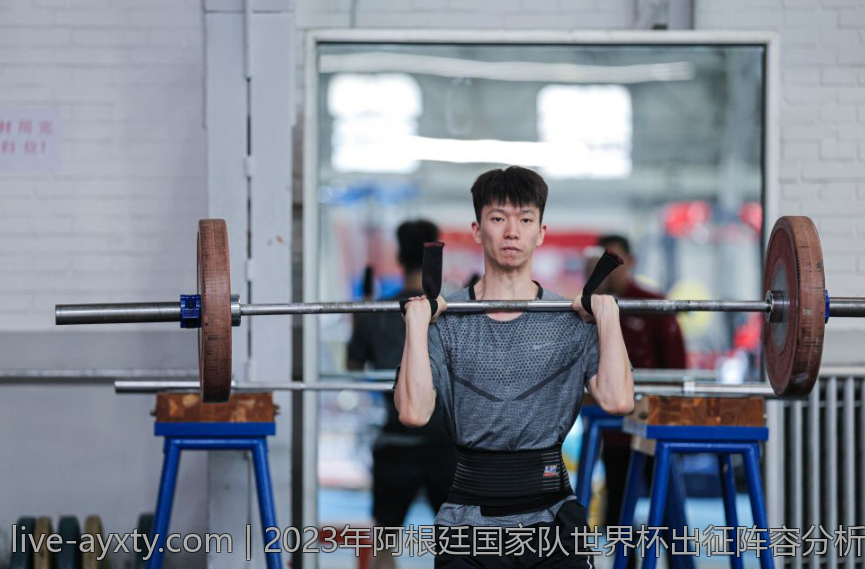 2023年阿根廷国家队世界杯出征阵容分析