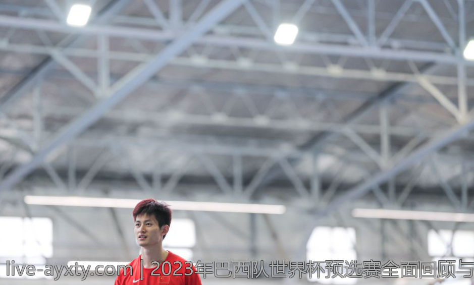 2023年巴西队世界杯预选赛全面回顾与分析