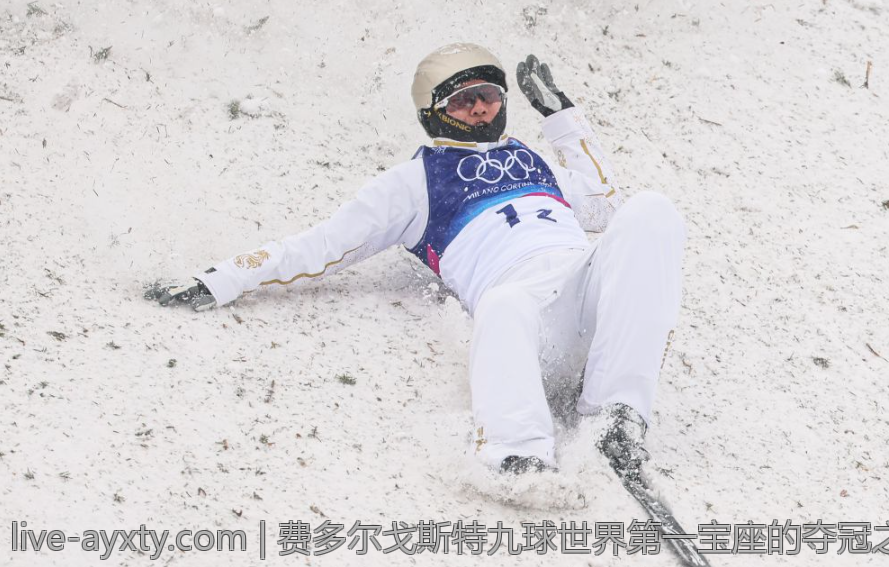费多尔戈斯特九球世界第一宝座的夺冠之路