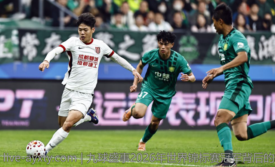 九球盛事2026年世界锦标赛冠军背后的故事